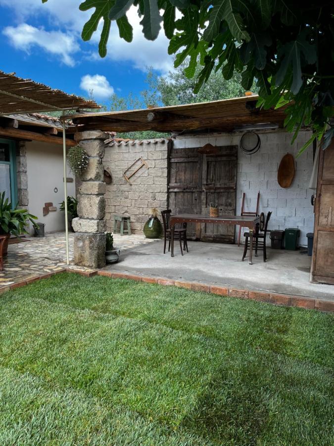 Gasthaus Graziosa Stanza Campidanese Su Terzu Oristano Exterior foto